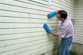 Siding Removal and Disposal in Linden, MI